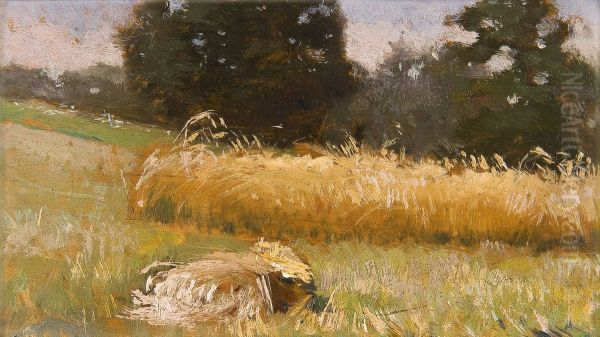 Rye field - view 1