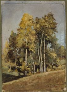 Study of trees