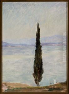 Cypress. From the journey to Constantinople by Jan Ciaglinski