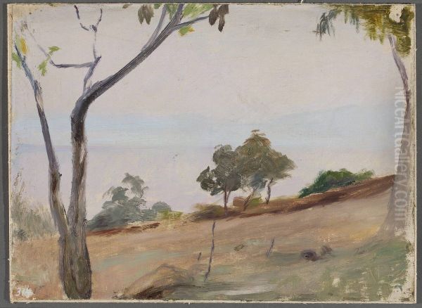 Landscape with trees. From the journey to Constantinople - view 1