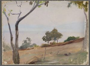 Landscape with trees. From the journey to Constantinople by Jan Ciaglinski