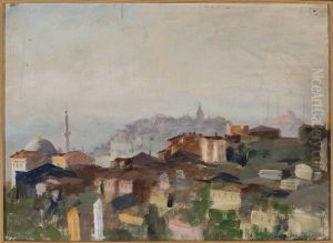 View of Punta del Seraglio. From the journey to Constantinople
