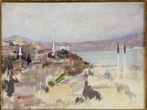 View of Bosporus. From the journey to Constantinople by Jan Ciaglinski