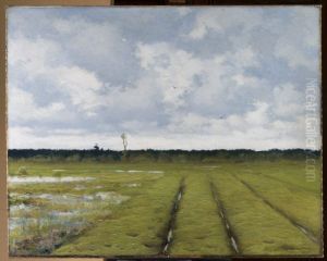 Landscape Landscape