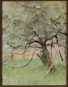 Apple tree Apple tree