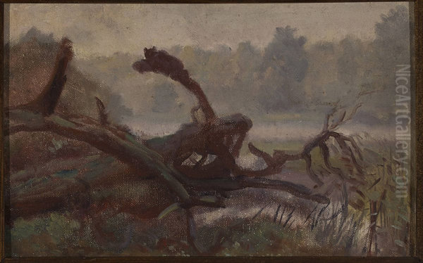 Deep forest - Windthrows, sketch for a painting - view 1