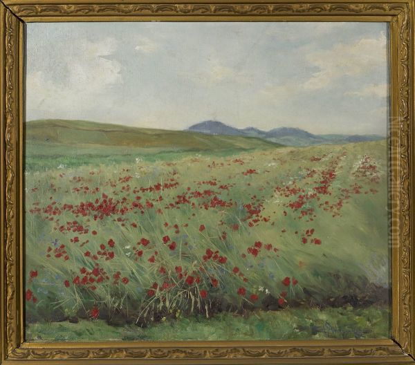 Field of poppies - view 1
