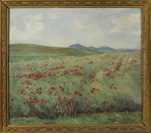 Field of poppies