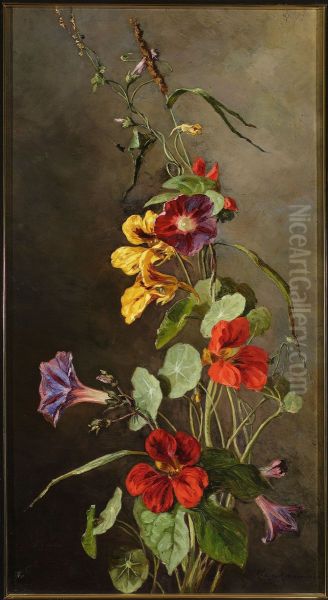 Flowers - Nasturtiums - view 1