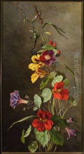 Flowers - Nasturtiums