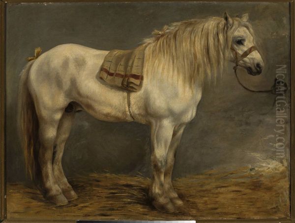 Horse in the stables - view 1