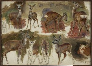 Studies of does by Maria Klass-Kazanowska