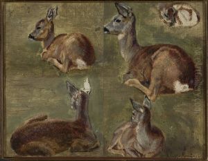 Sketches of fawns
