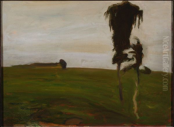 Evening - view 1
