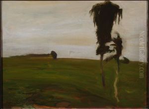 Evening Evening