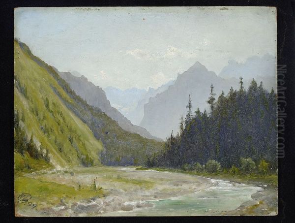 White Water Valley in the Tatra Mountains - view 1