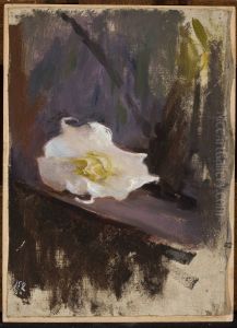 White flower, study by Jan Ciaglinski