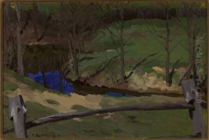 Landscape study in Bohdanow Landscape study in Bohdanow
