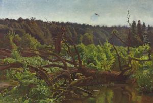 Deep forest - Windthrows by Jozef Chelmonski