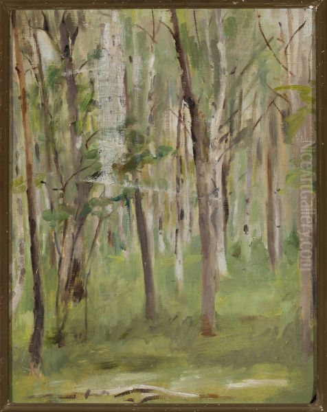 Maryino - grove - view 1