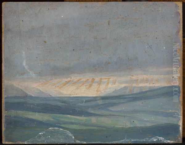 Fields - view 1