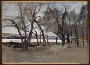 Winter landscape - park on the Petrovsky Island