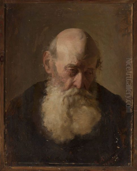 Study of an old man's head - view 1