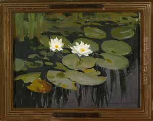 Water lilies