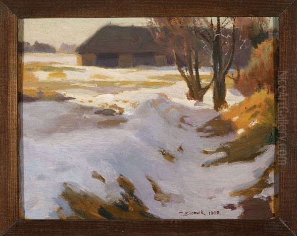 Winter thaw - view 1