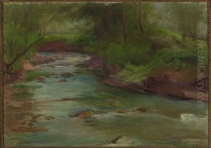 Mountain stream - in the Tatra Mountains below Mt Nosal by Wladyslaw Slewinski