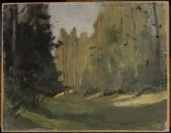 Mariino - clearing in a forest - view 1