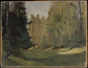 Mariino - clearing in a forest Mariino - clearing in a forest