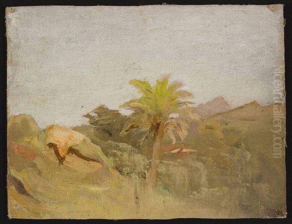 Palm tree in Ceylon. From the journey to India - view 1