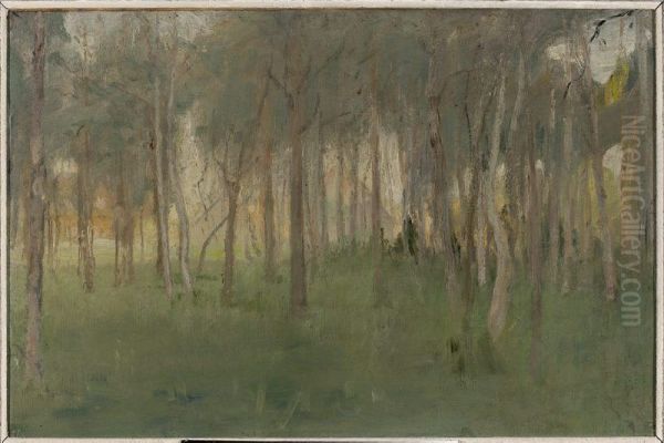 Maryino - grove - view 1