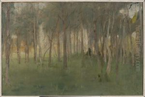 Maryino - grove Maryino - grove