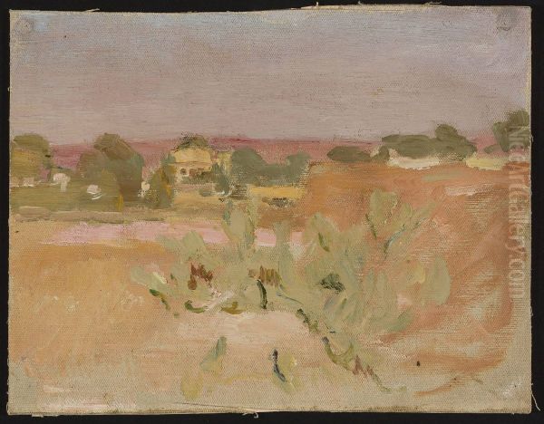 Pink landscape with cactuses. From the journey to India - view 1