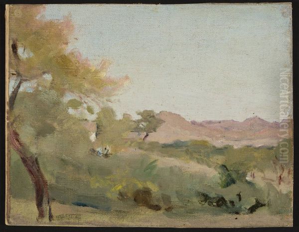 Udaipur - Indian landscape. From the journey to India - view 1