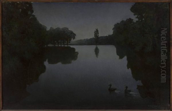 Pond with ducks - view 1