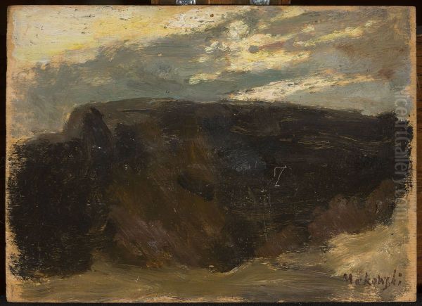 Landscape with the sun shining through - view 1