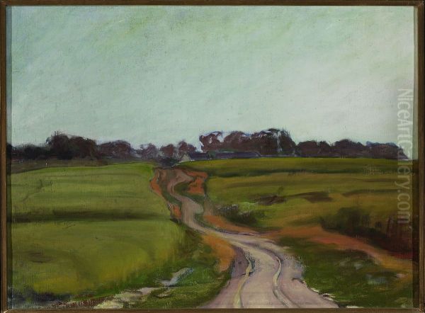 Road among fields - view 1
