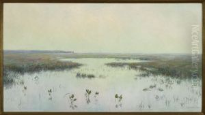 Dawn over water - Marshes by Teodor Ziomek