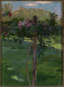 Rose shrub Rose shrub