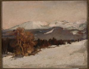 Mountain landscape in winter by Stefan Filipkiewicz