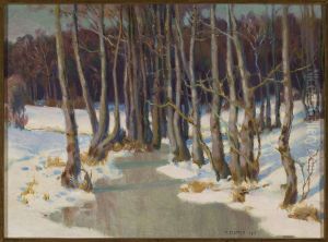 Forest stream in winter by Teodor Ziomek