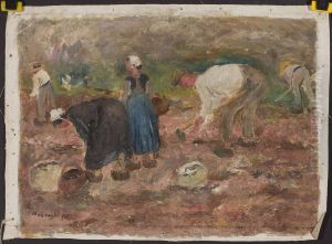 Digging potatoes