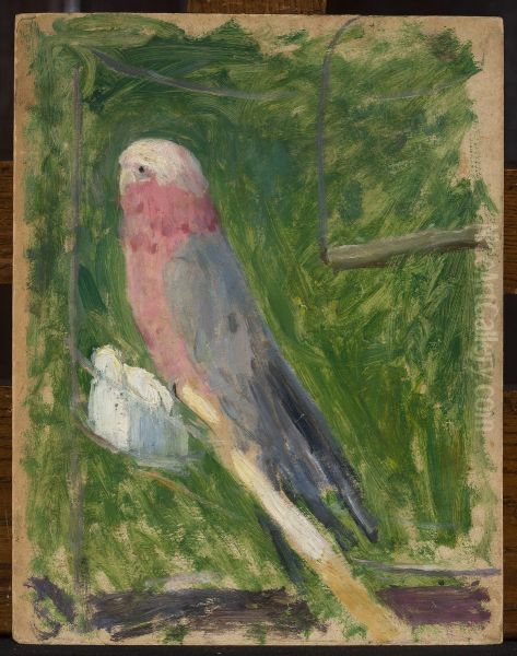 Parrot - view 1