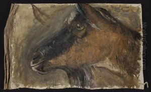 Study of a goat's head