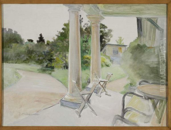 View from the porch in Luslawice - view 1