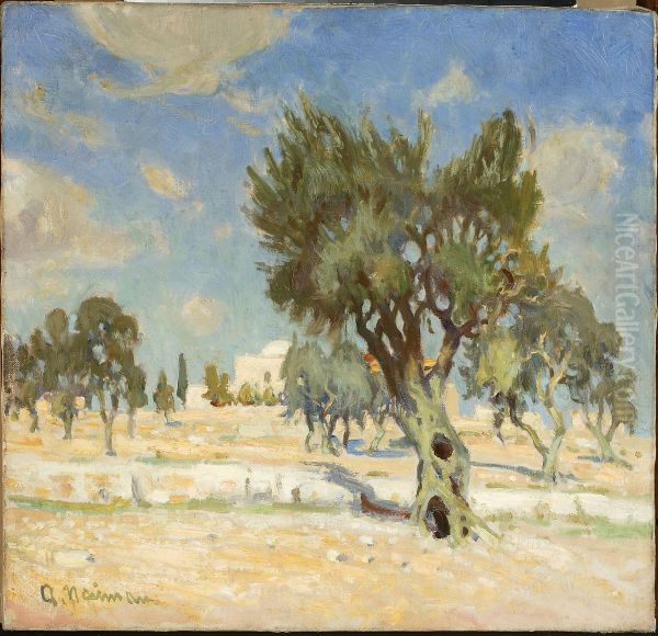Olive trees near Jerusalem - view 1