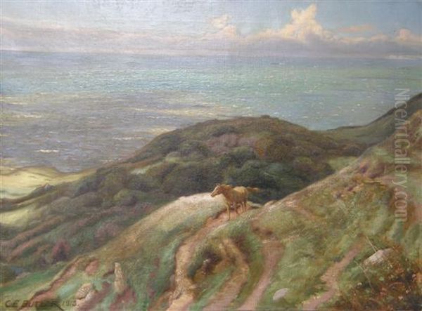 Untitled - view 1